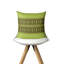 Housse de coussin d'intérieur Kamron Green avec motif tribal brun.-1002169349