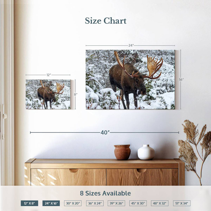 Brampt Moose In Winter, 16" H x 24" W