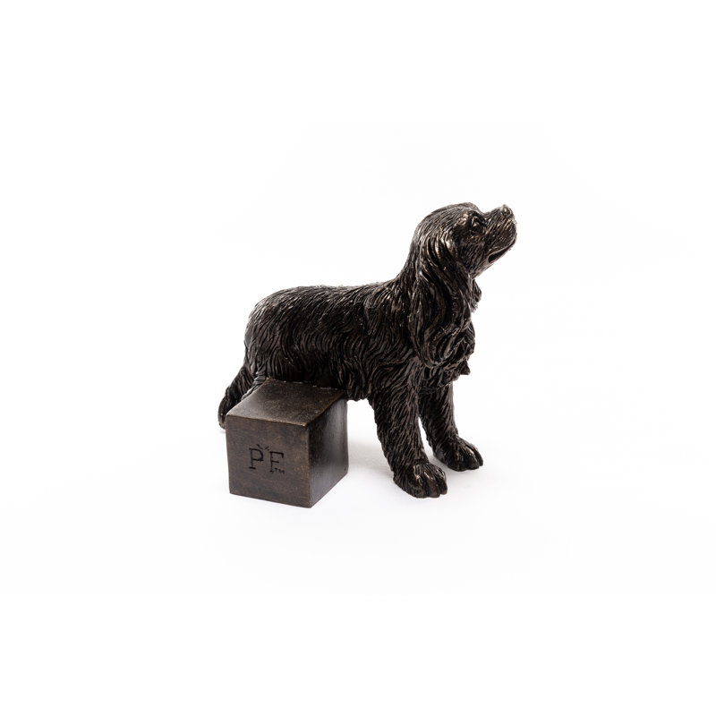 Laytonville Cavalier King Charles Spaniel