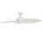 Palm Valley 52" Tropical Ceiling Fan-1229926621