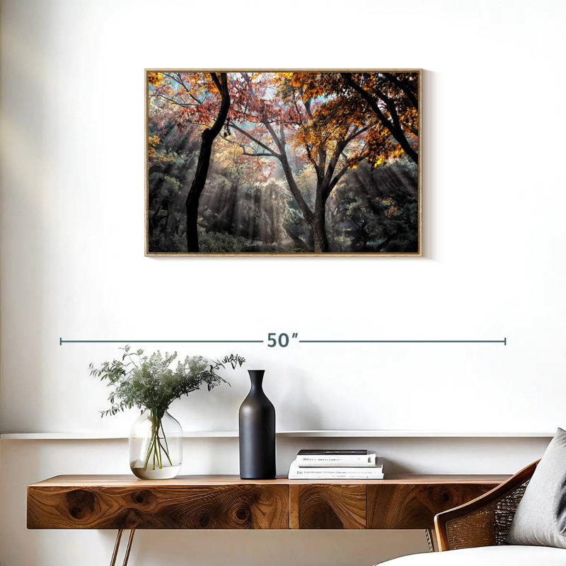 Rayons de soleil de la forêt, Cadre flottant en bois naturel, 31 po x 21 po
