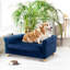 Lit pour animaux Tucker Murphy Pet ™ Dinel-91071017