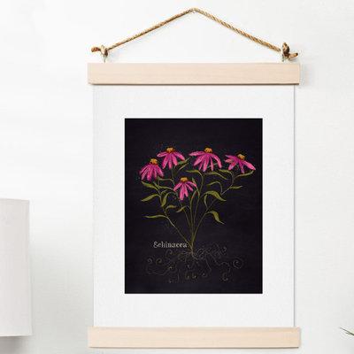 « herb jardin echinacea », impression
