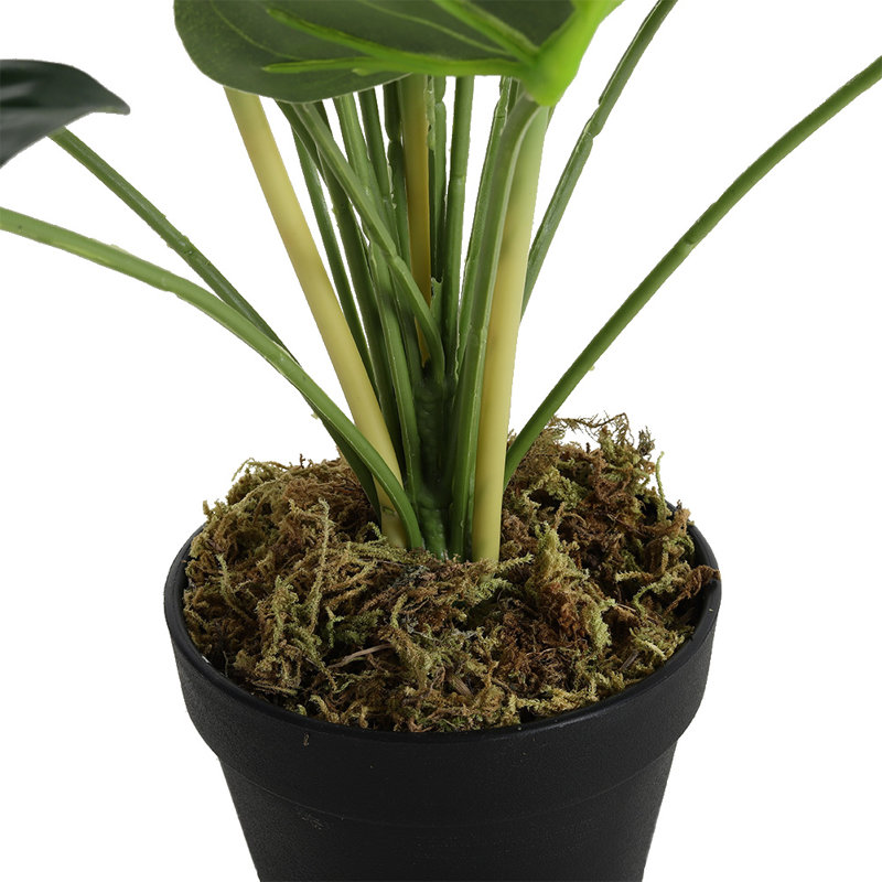 75cm Faux Strelitzia Reginae Plant in Pot