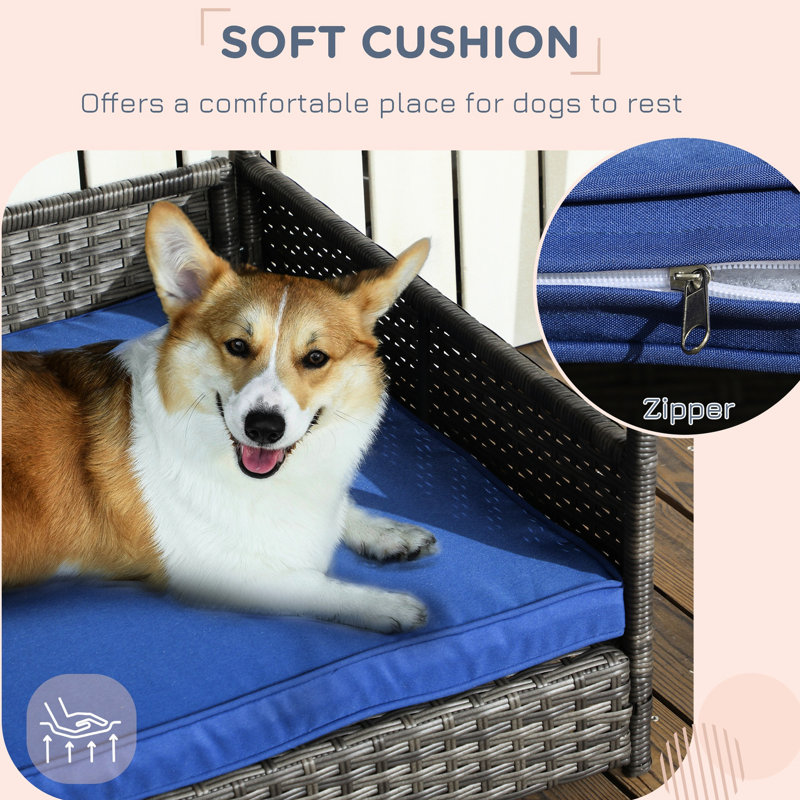Abri pour chien de taille moyenne avec coussin d'eau bleu foncé