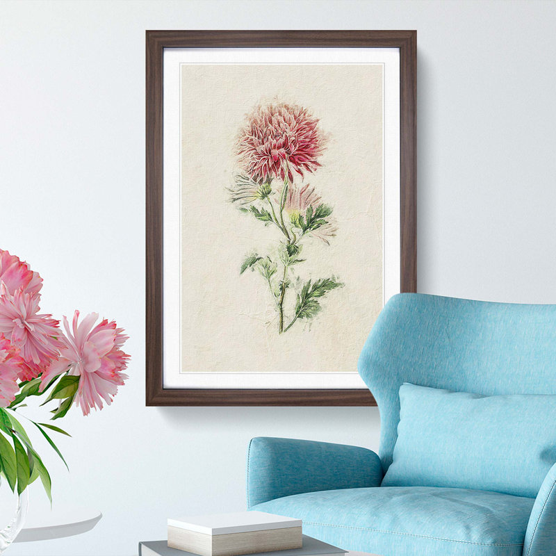 Illustration of Pink Chrysanthemums - Picture Frame Painting Print, Walnut Framed, 36cm H x 27cm W x 2cm D