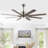 66'' Ceiling Fan with LED Lights-453944117