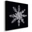 Flocon de neige II-305011369