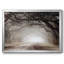 Timeless Plantation Drive, reproduction d'art sur toile-1695487557-1695487556