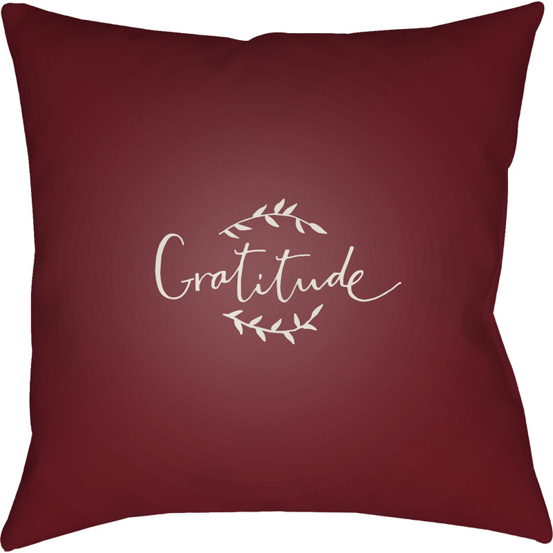 Gratitude Indoor/Outdoor Throw Pillow, 20" H x 20" W x 4" D, Red/White