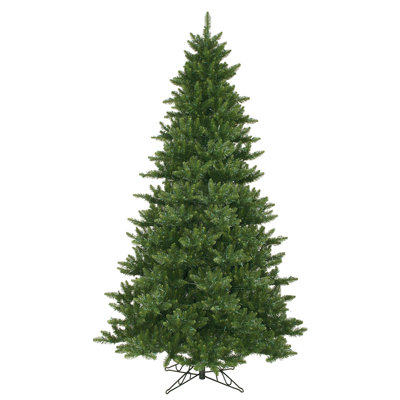 Fir Christmas Tree