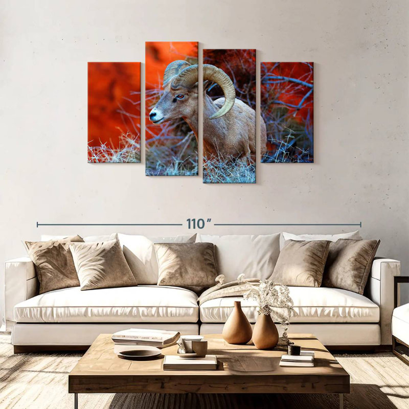 Brampt Bighorn Sheep Ram, 48" H x 75" W