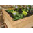 Wood Elevated Planter