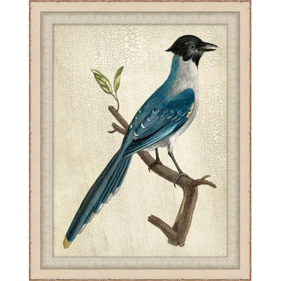 Blue Birds 3 - Peinture encadrée sur papier