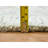 One-of-a-Kind Rectangle 12'1" X 18'0" New Age Area Rug in Ivory