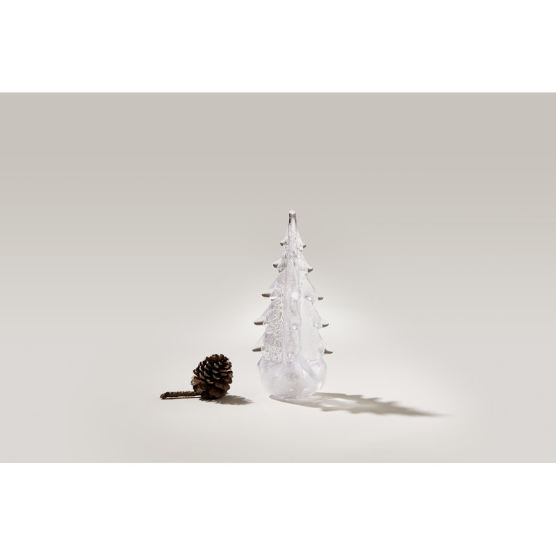 Silver Leaf Evergreen, 10 inch