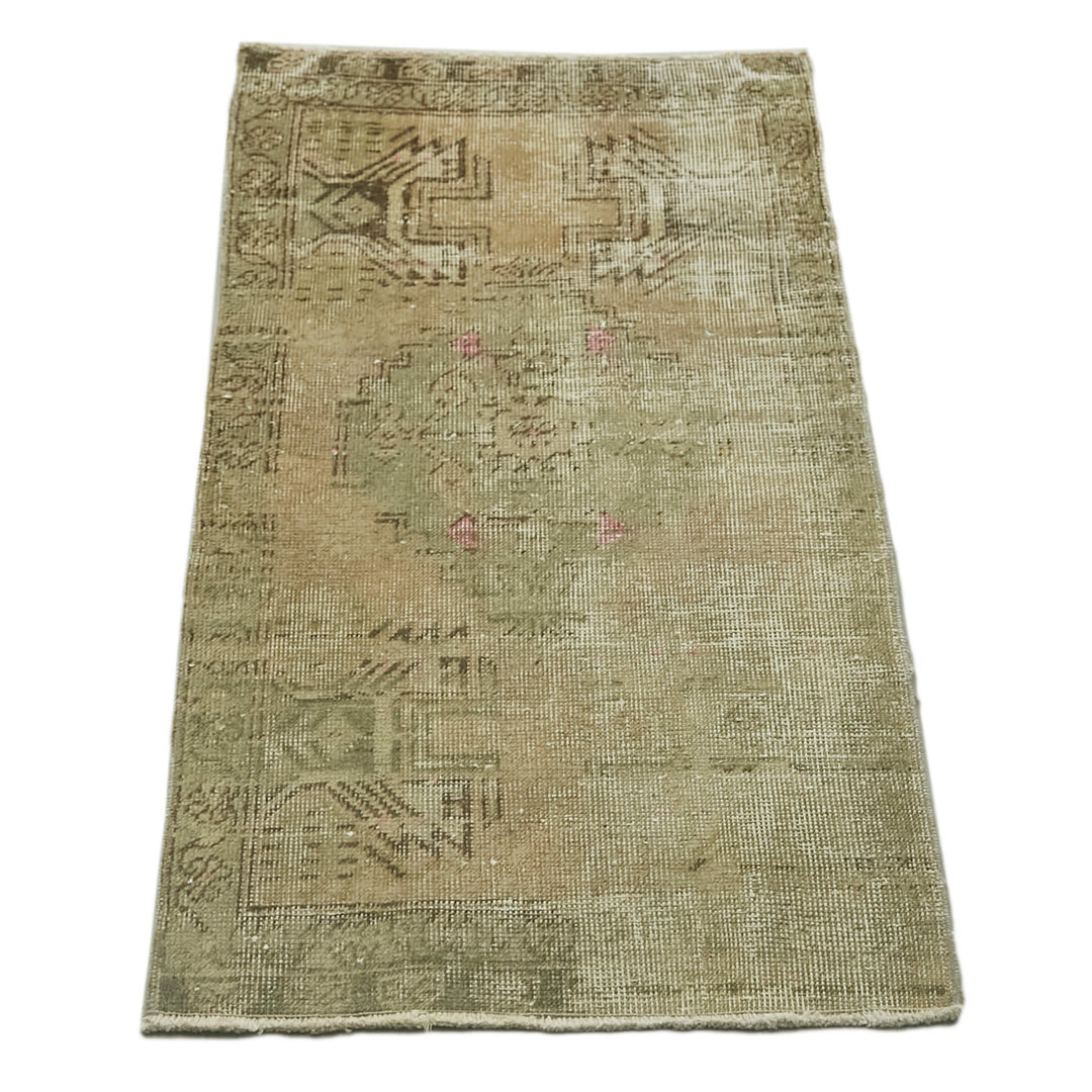 Avah Hand Knotted Area Rug