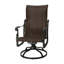 Florence Woven High Back Swivel Rocker-223746508-223799305