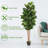 72'' Faux Banyan Tree in Pot