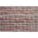  Premium Machine Washable Myalee AMF31 Rug