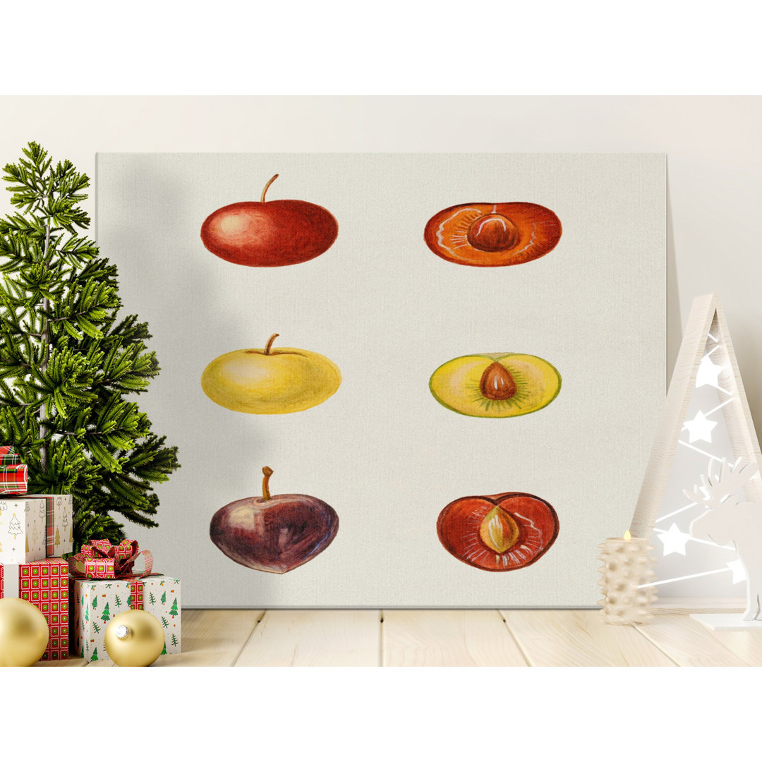 Vintage Botanical Fruit Kitchen Canvas