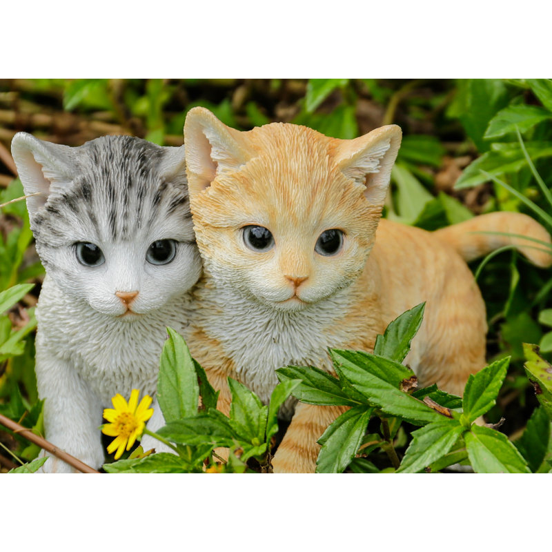 Kittens Sitting Together