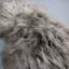 Kearney Solid Colour Sheepskin Area Rug-36342636