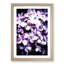 Lilac Hydrangeas - Picture Frame Painting Print-55582571-55582572