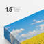 Tournesol «Vibrant Yellow Summer Sunflowers» sur-99543353