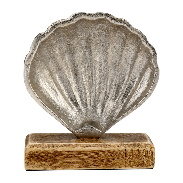 Seashell Decor