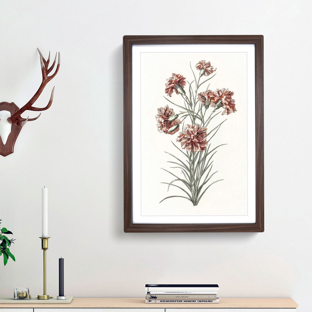 Six Carnations by Johan Teyler - Picture Frame Painting Print