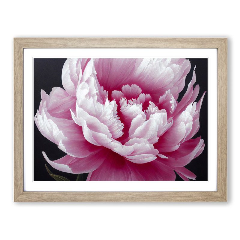 Splendid Peony Flower - Framed Print, 34cm H x 46cm W x 2cm D, Oak