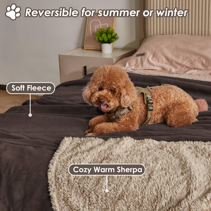 Pet Blanket, Brown 