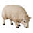Brona Texelaar Baby Sheep Head Down Life Size Statue