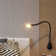 Cobra LED Spotlight