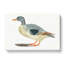 Duck by Johan Teyler - Wrapped Canvas-55304055