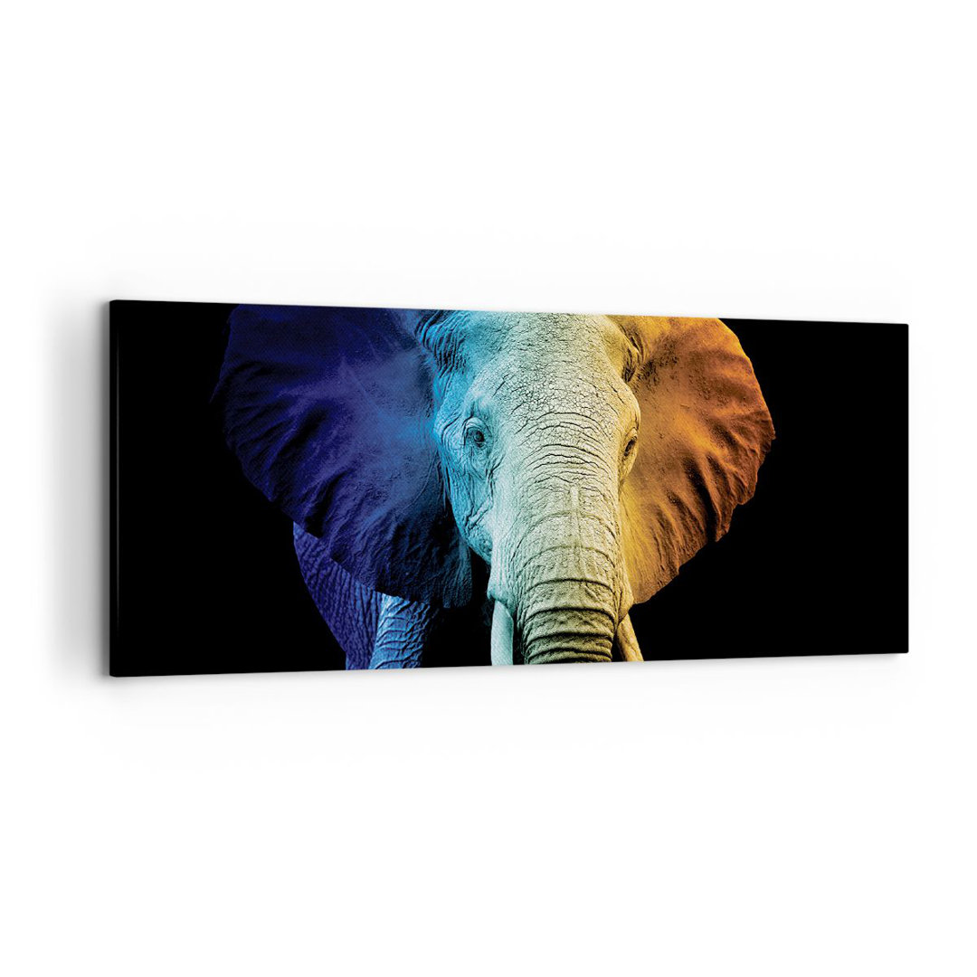 Leinwandbild Colorful Elephant