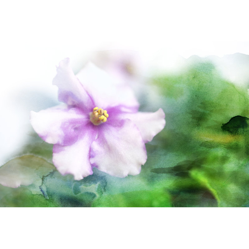 Watercolour Pink Violet - Wrapped Canvas Painting, 30cm H x 46cm W x 3.8cm D