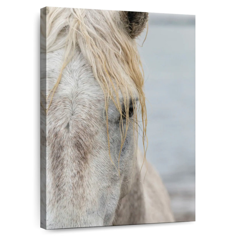 Ronce près d'un cheval blanc de Camargue II, H 30 po x l 20 po