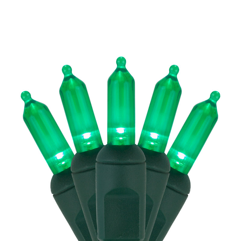 25.5' Steady LED String Lights, Green