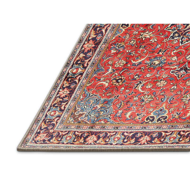 Haileyville Performance Oriental Indoor Rug, Rectangle 4' x 6'