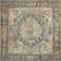 Blue Nosara Indoor/Outdoor Traditional Rug