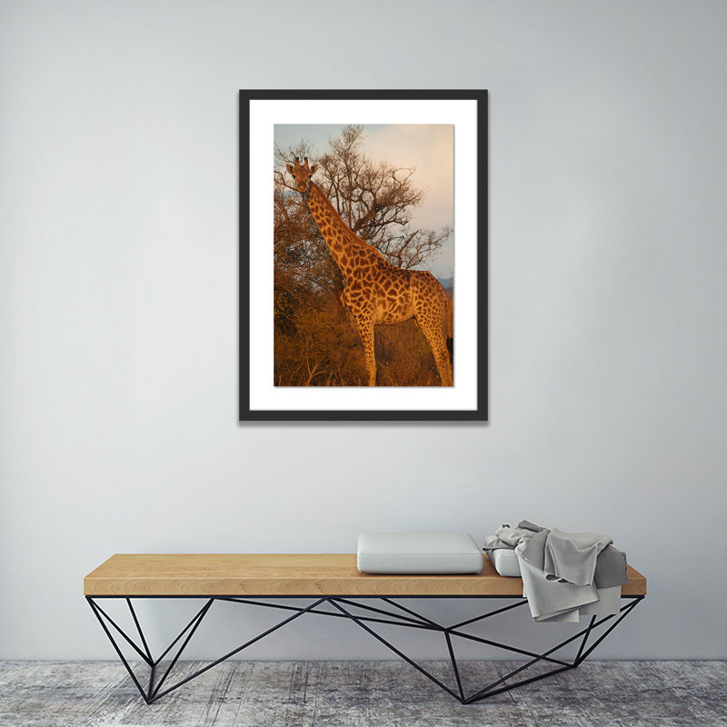 Giraffe 1 by Jade Hammer, Black, 40" H x 29" W x 2.5" D