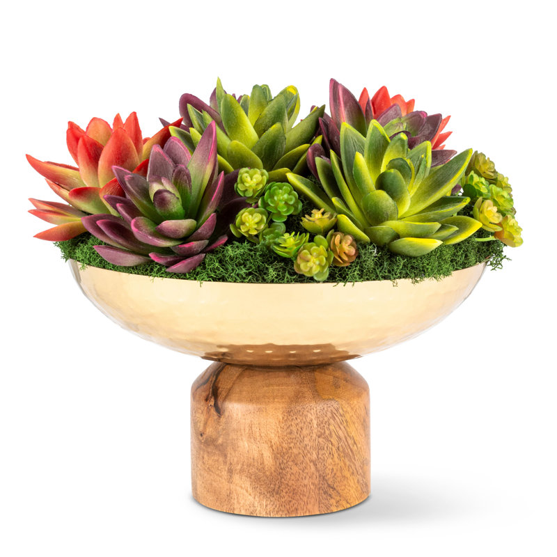Petra Succulent Wooden Pedestal Arrangement