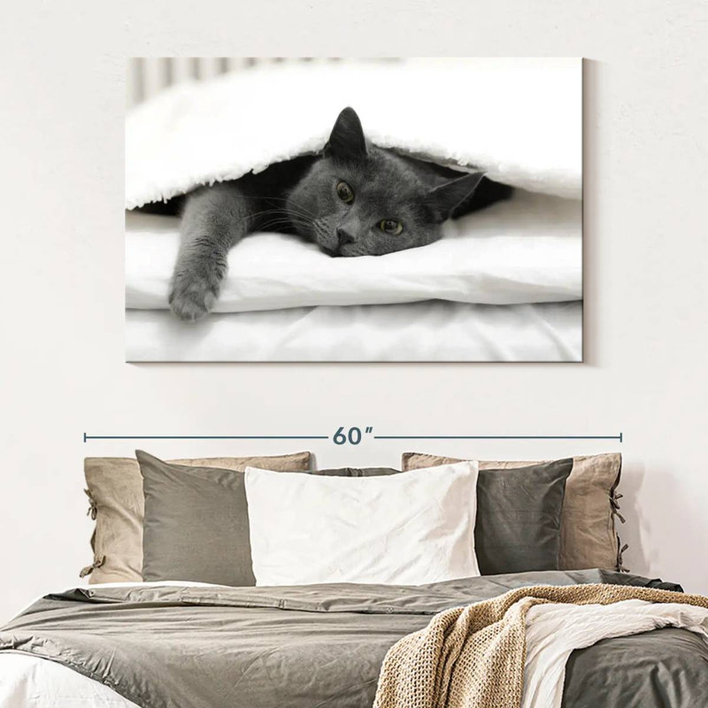 Brampt Lazy Cat, 34" H x 51" W