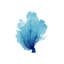 Blue Seafan Coral V Print by Sofia Fox-26931097-26931093