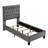 Kayden Upholstered Standard Bed-24049078-24049066
