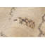 Moroccan Hand Knotted Wool Geometric Area Rug-1378070183