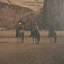 «Canyon Del Muerte, Navajo» par Edward Sheriff Curtis, toile encadrée texturée embelli à la main