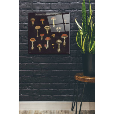 «Mushroom Chart I» par Wild Apple Portfolio